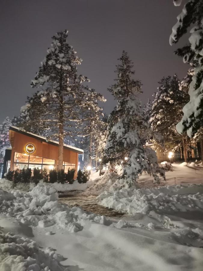 Silver Star Zlatibor Apartment Exterior photo